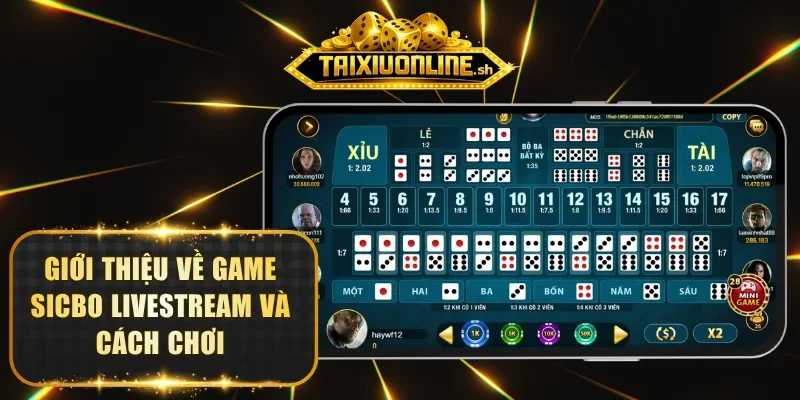 Giới thiệu về game Sicbo livestream và cách chơi