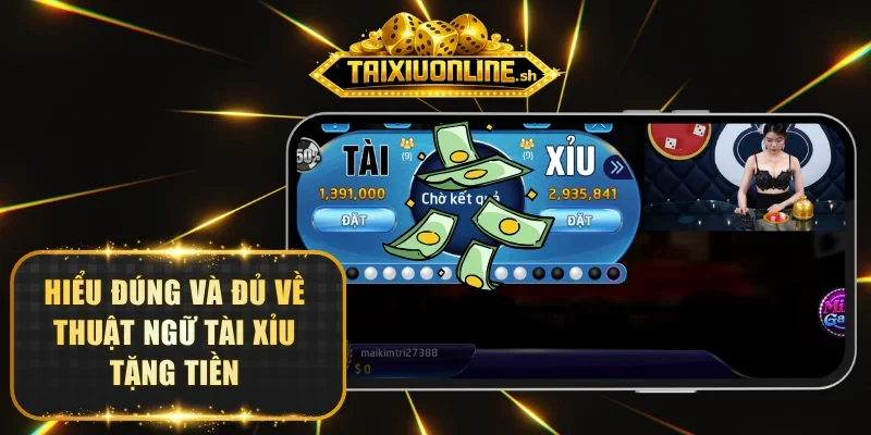 Hiểu đúng và đủ về thuật ngữ tài xỉu tặng tiền